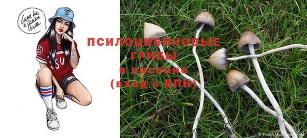 скорость Абаза