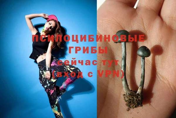 скорость Абаза