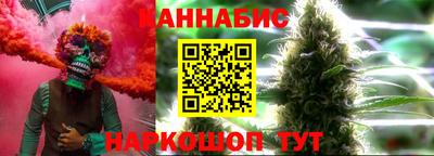 крисы Кингисепп