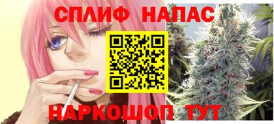 крисы Кингисепп