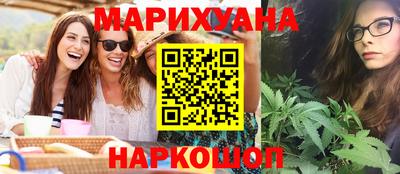 крисы Кингисепп