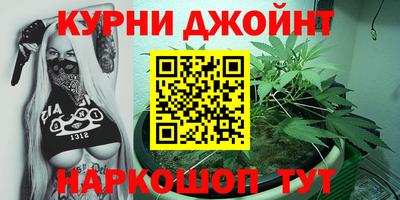 крисы Кингисепп