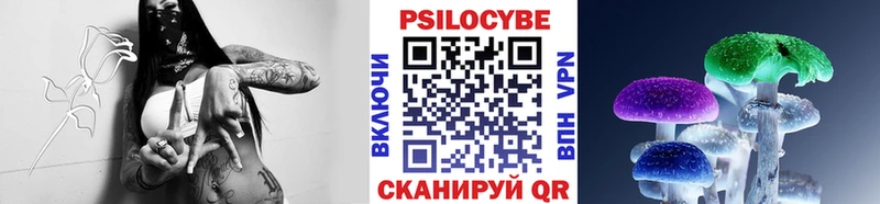Галлюциногенные грибы прущие грибы  как найти закладки  Александров 