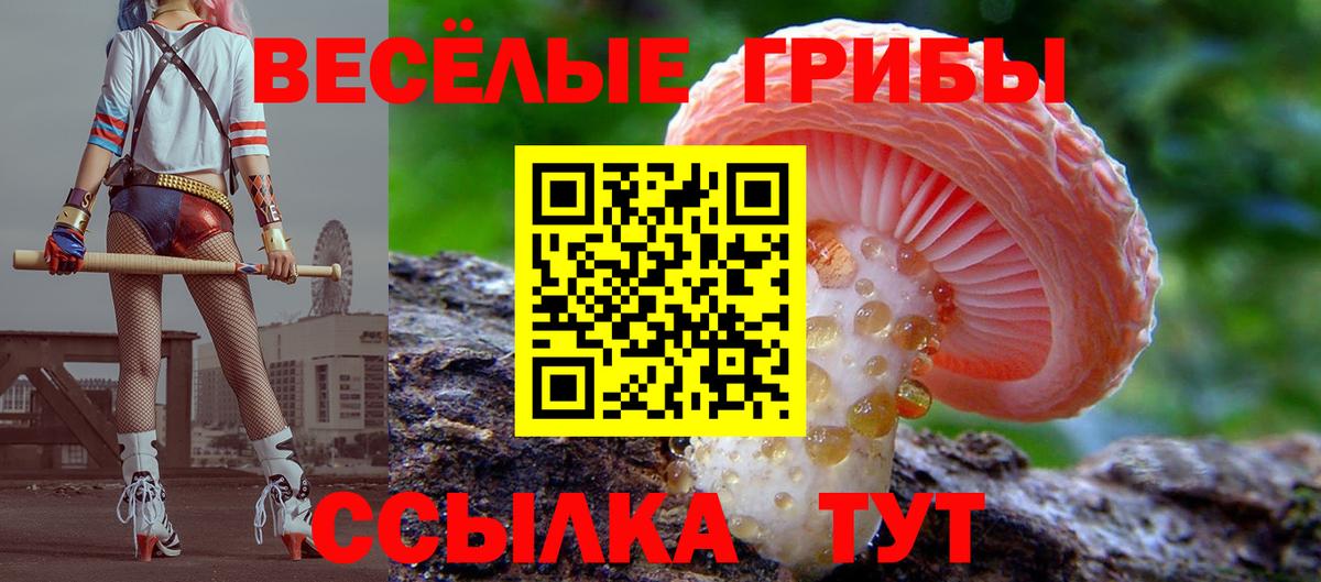 Александров  Псилоцибиновые грибы Cubensis  как найти наркотики  Вход с VPN  Псилоцибиновые грибы Psilocybine cubensis 