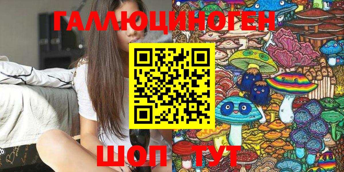 Александров  Псилоцибиновые грибы Cubensis  Вход с VPN  наркота  Галлюциногенные грибы Psilocybe 