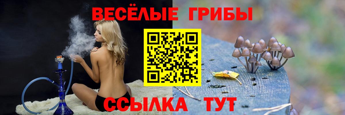 Псилоцибиновые грибы Magic Shrooms Александров